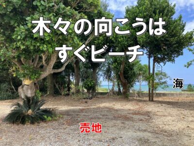 今帰仁村　今泊53.24坪