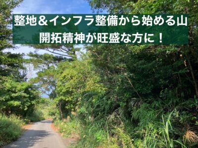 今帰仁村　諸志408.07坪
