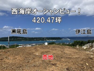 本部町　健堅420.47坪