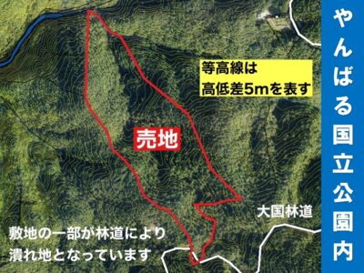 国頭村　奥間19421.10坪