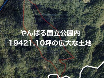 国頭村　奥間19421.10坪