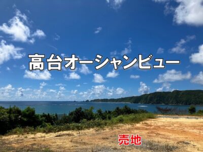 東村　慶佐次333.35坪