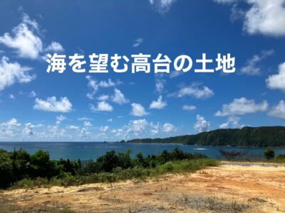 東村　慶佐次333.35坪